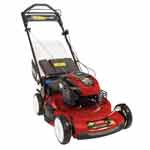Briggs and Stratton Mower and Snow Blower Parts Briggs and Stratton 7800802 Parts
