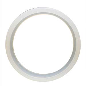 Air Locker CS80A2-20 Cylinder Seal
