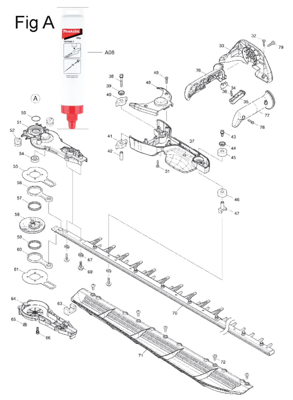 Fig-1