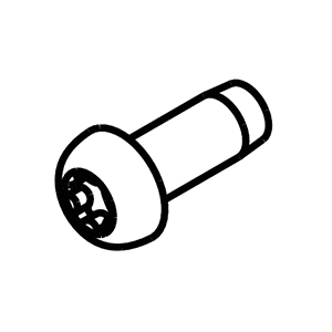 Milwaukee 06-82-0240 Pan Hd T-20 St Screw
