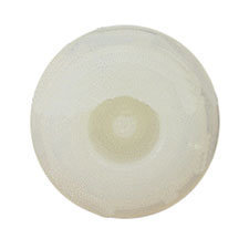 Ridgid 079020001004 Seal