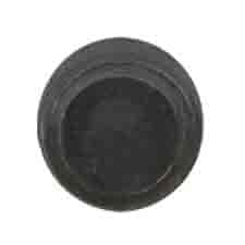 Ridgid 079027013082 Threaded Plug