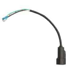Ridgid 089038001100 Power Cord (pump)