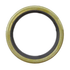 Chicago Pneumatic 8940162199 Seal