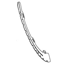 DeWalt N300093 Detent Plate