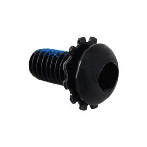 DeWalt N446418 Screw and Washer, M6X12 Star Washer