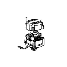 DeWalt N531561 Motor Assembly