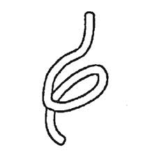 Jet JT9-5512288 Hose (30MM)