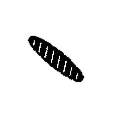 JT9-P91238