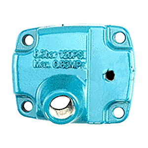 Makita HY00000861 Inlet Cap, AN924