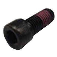 Paslode 404904 Screw/shc (pmp/pp) 10 Pk