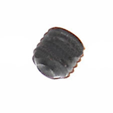 A18003050054